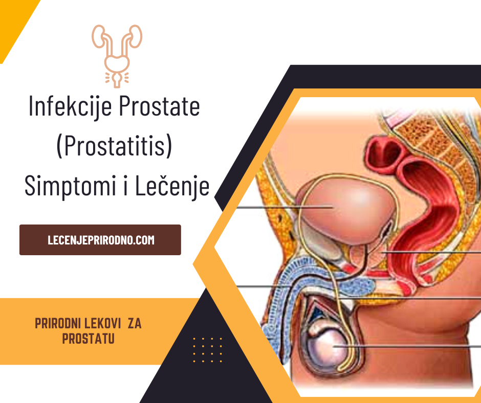 lecenje prostate prirodnim putem