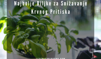 biljke za visok krvni pritisak