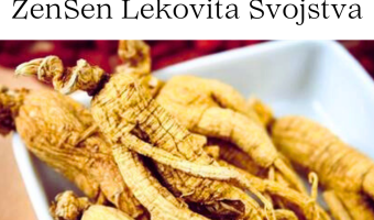 ženšen lekovitost