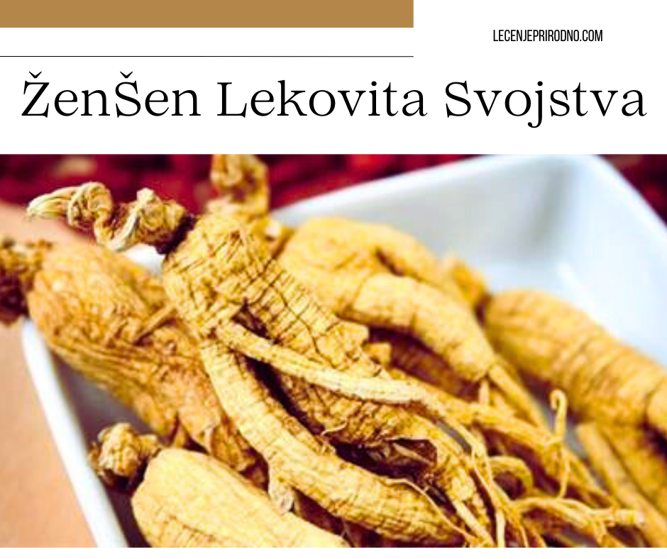 ženšen lekovitost