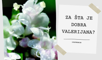 za sta je dobra valerijana