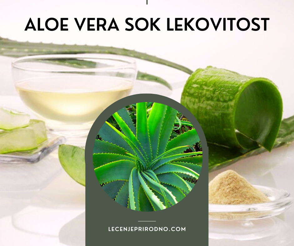 aloe vera sok lekovitost