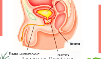 uvećana prostata lek