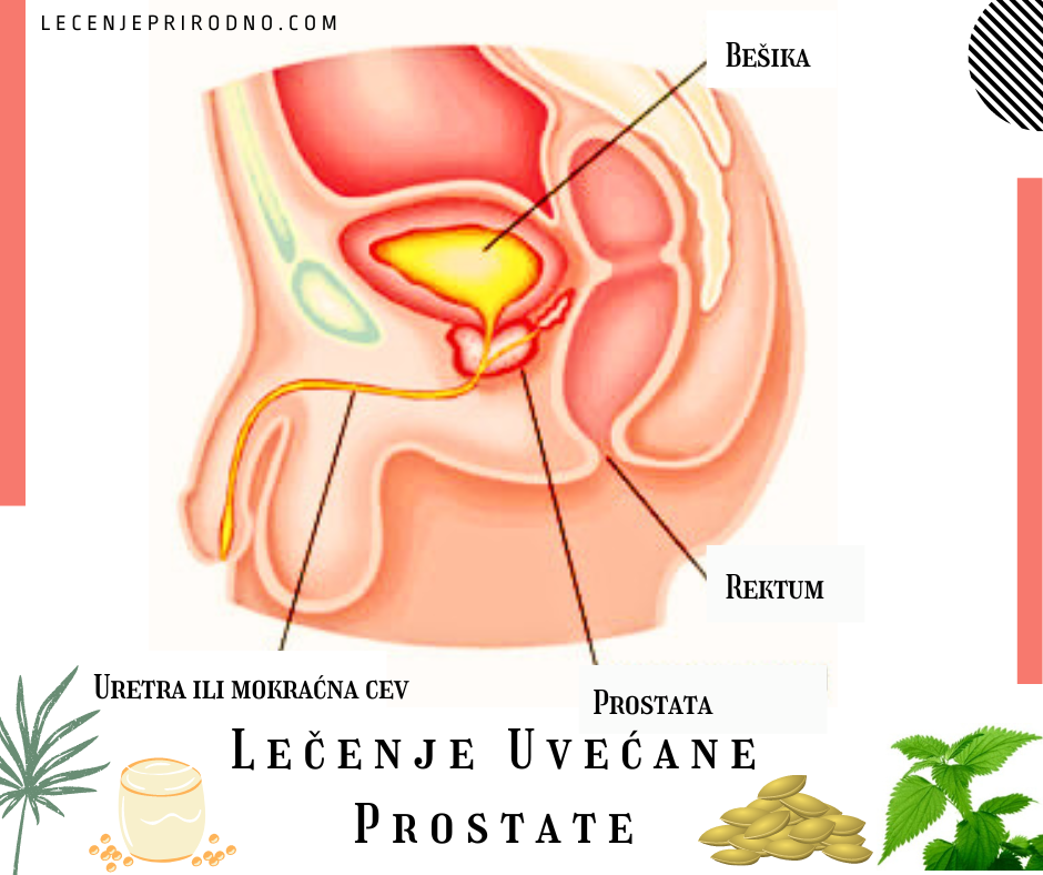 uvećana prostata lek