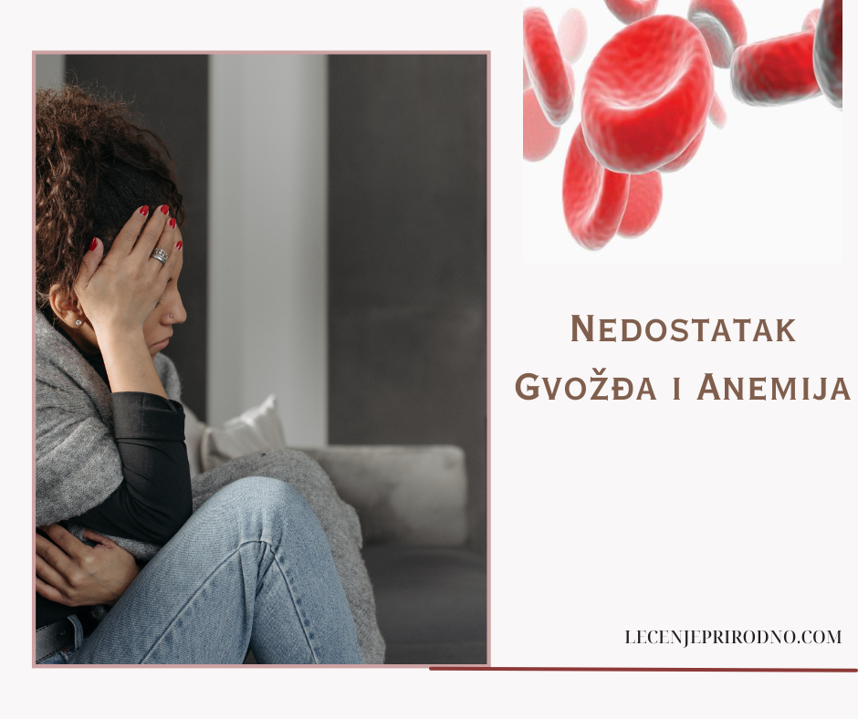 nedostatak gvozdja i anemija