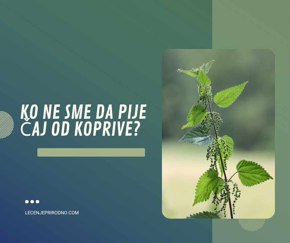 ko ne sme da pije caj od koprive