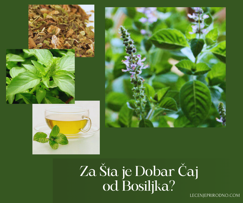caj od bosiljka