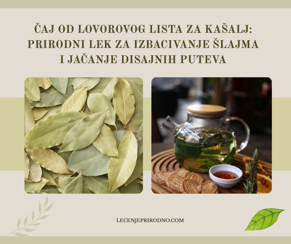 caj od lovorovog lista za kasalj