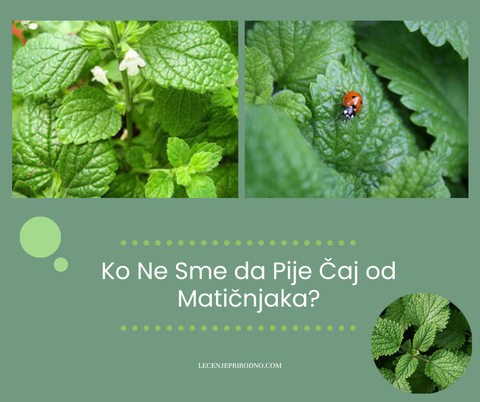 ko ne sme da pije caj od maticnjaka