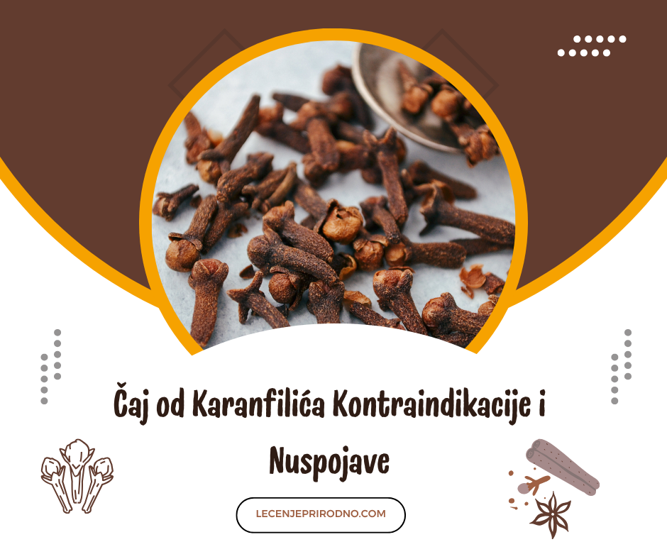 ko ne sme da pije caj od karanfilica