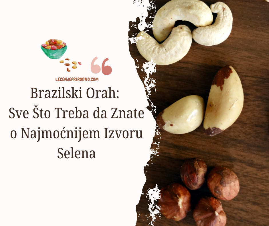 brazilski orah za sta je dobar
