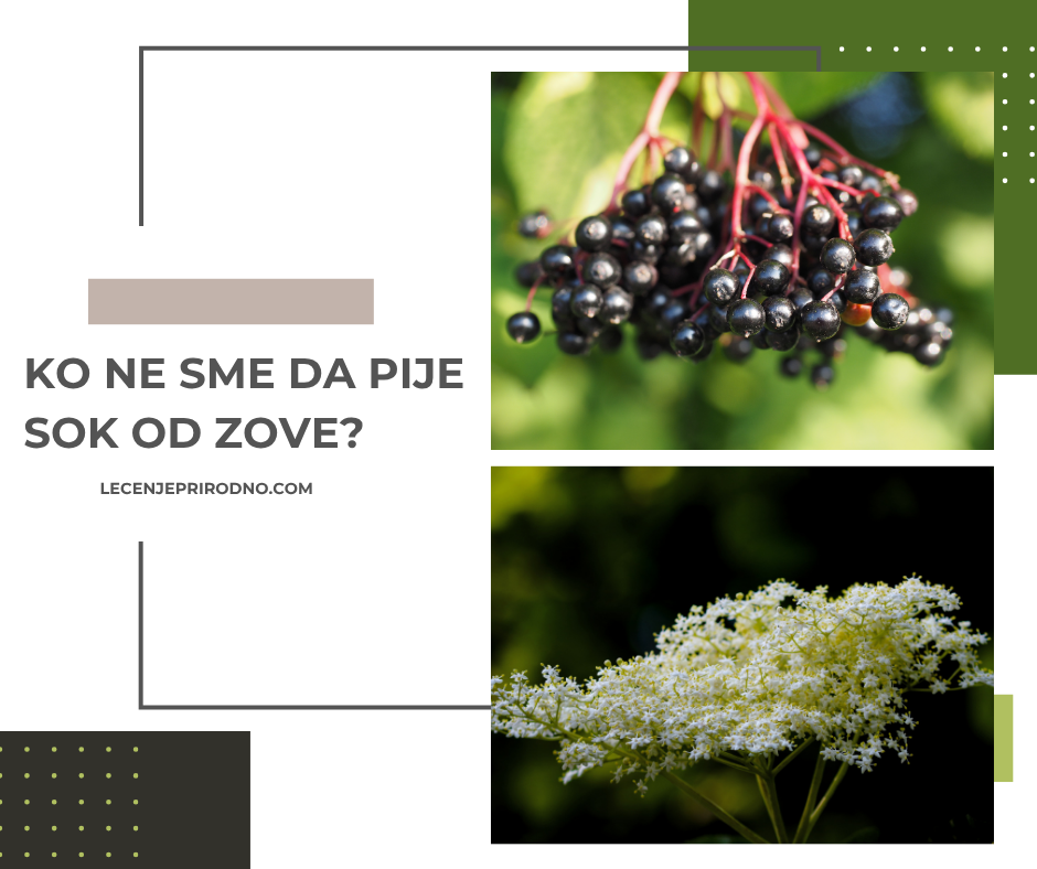 zova biljka