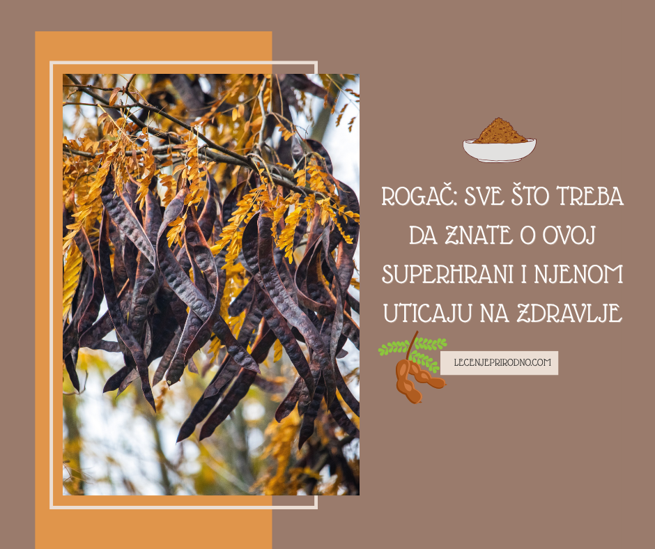 rogač u prahu